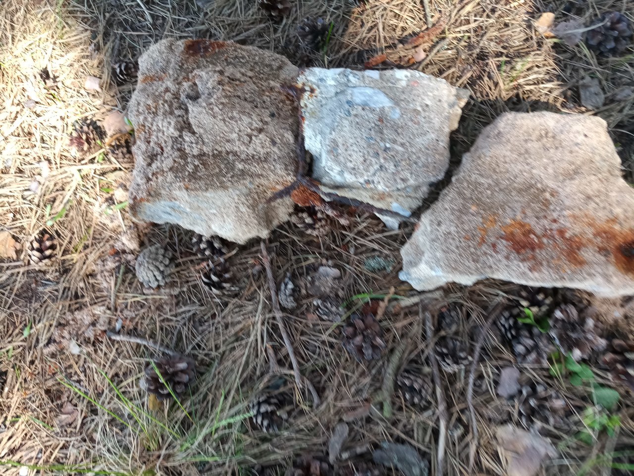 harvest raid - My, Cleaning, Garbage, Beach, First long post, Saturday clean-up, Initiative, Longpost, Saint Petersburg