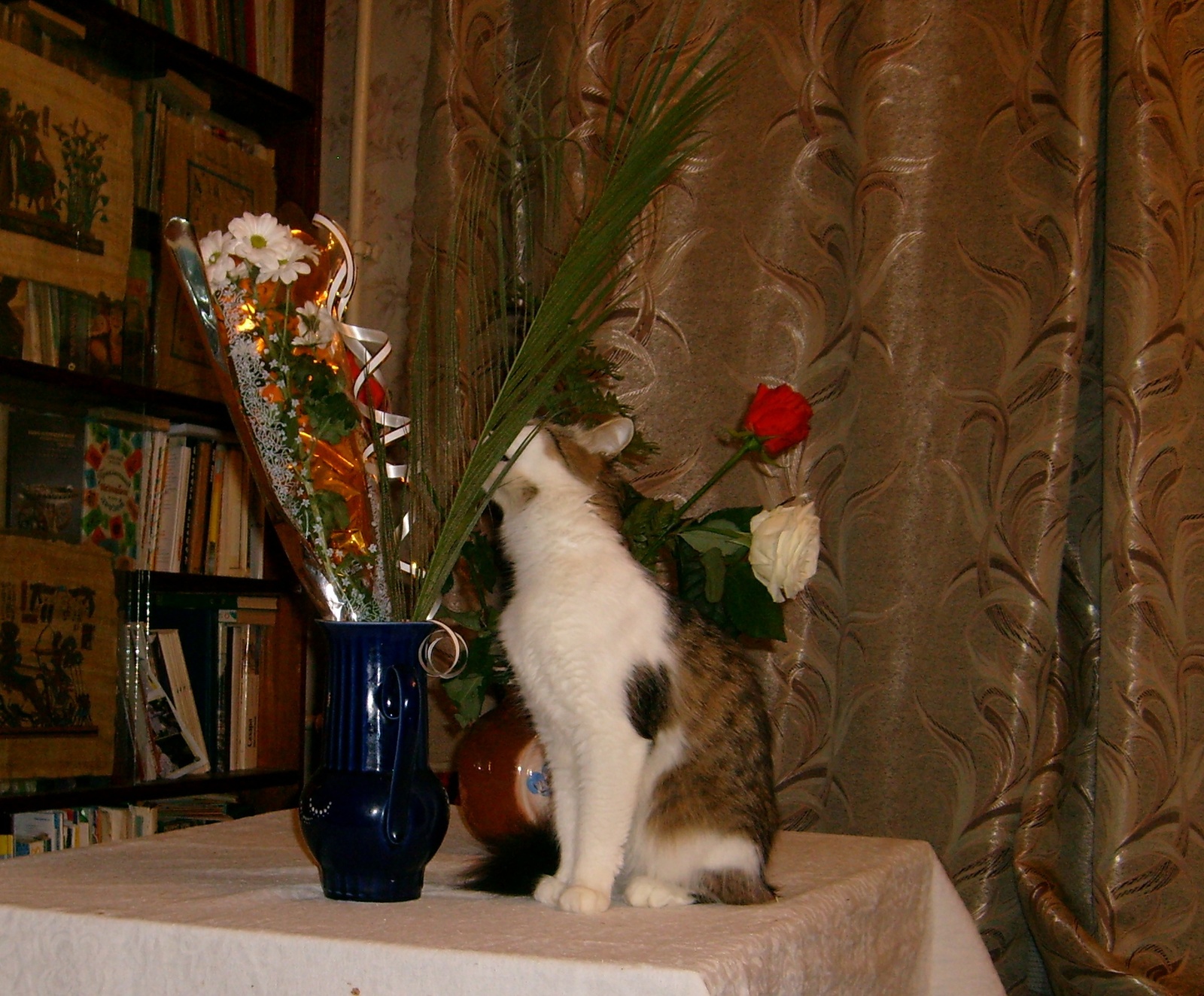 Nice bouquet and how it tastes. - My, Musya, cat, The photo, Longpost