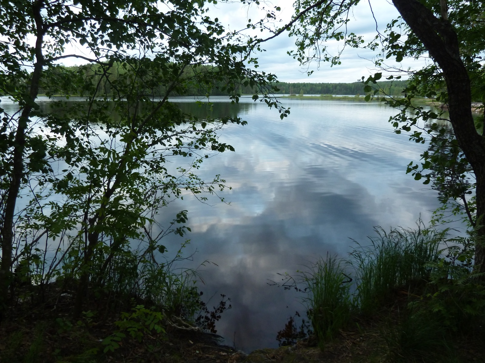 copper lake - My, copper lake, Seagulls, Lake, Copper Plant, White Nights, The photo, dust, Longpost