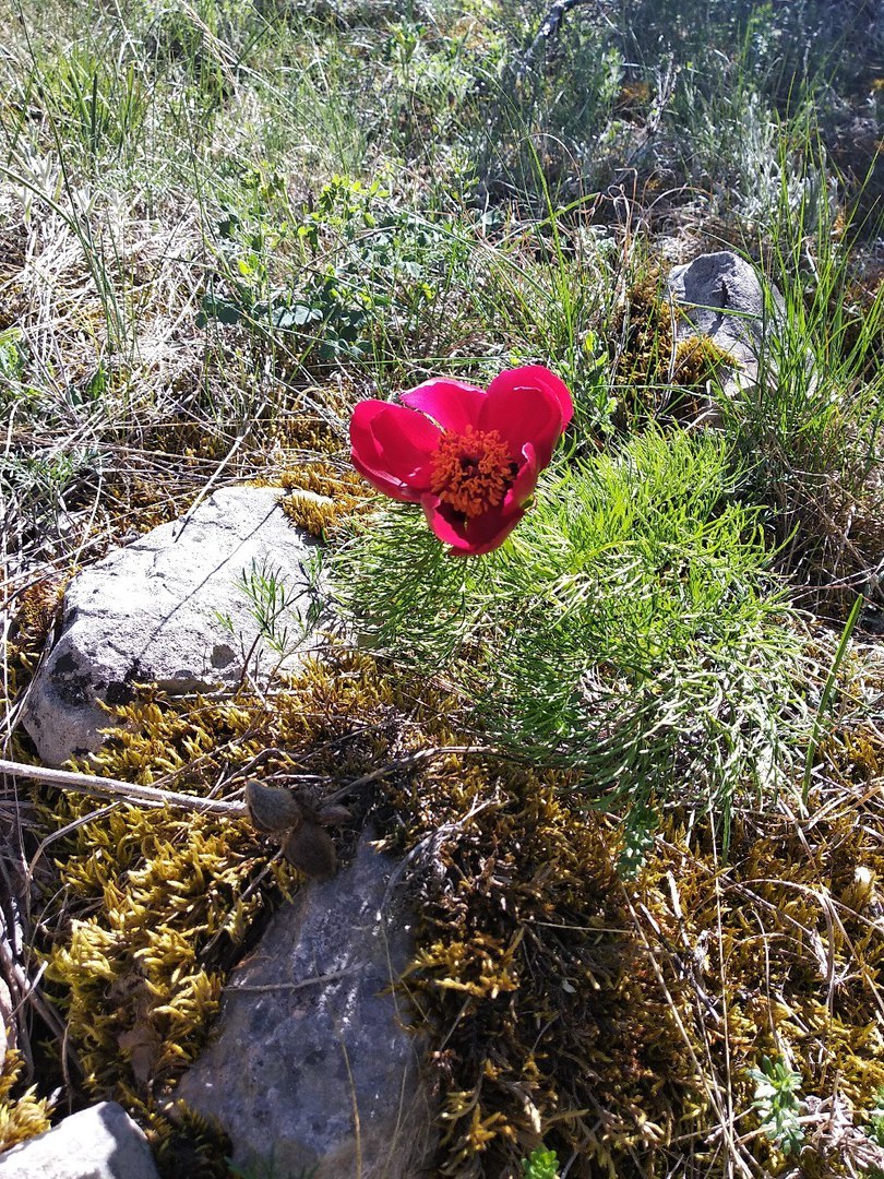 Brief report on an independent hike in the Crimea May 2018 Day one - My, Hike, Crimea, , Tourism, Travels, Chatyr-Dag, Longpost