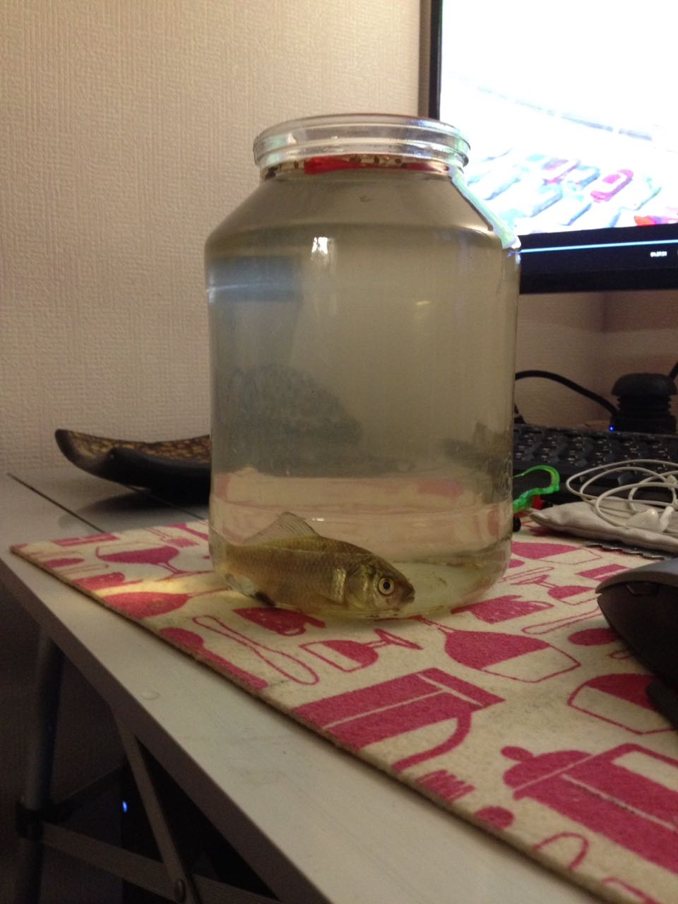 Неделю живем в деревне, тут хорошо. Тесть приехал. Ходим на рыбалку и ...