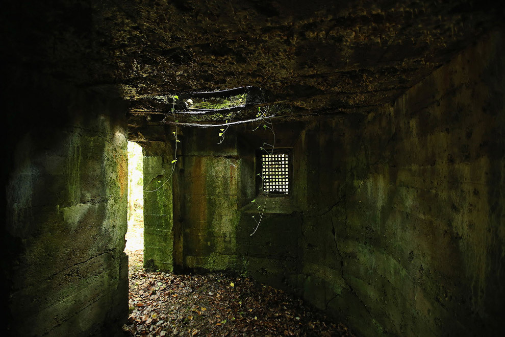 What the battlefields of the First World War look like a hundred years later. - World War I, Story, The photo, France, Belgium, Longpost