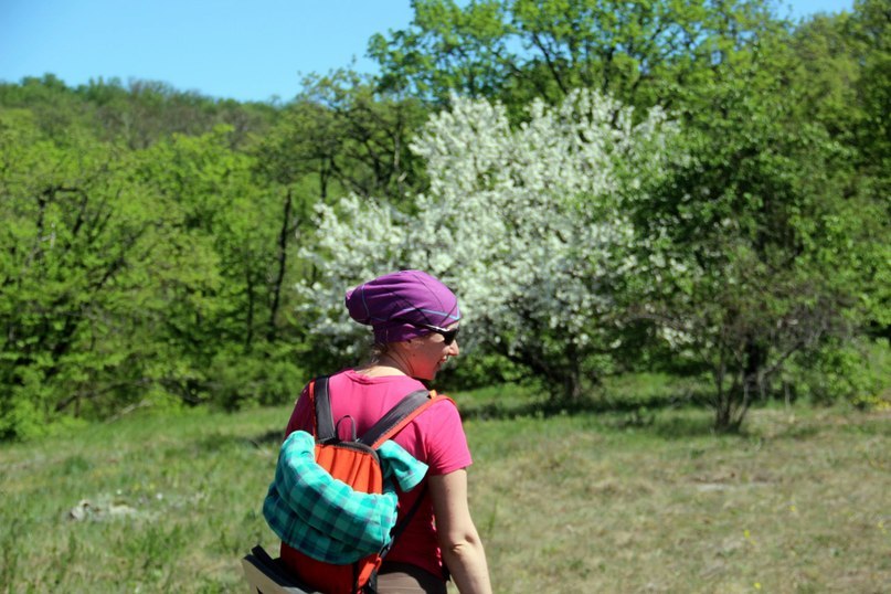 Hike in the Crimea. May 2018 Day two. - My, Crimea, Hike, Tourism, Travels, Chatyr-Dag, Longpost, Route, 