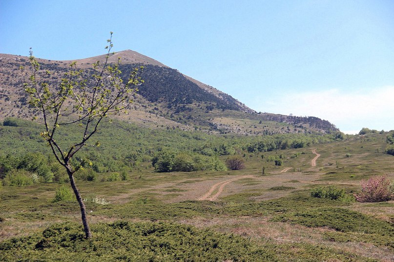 Hike in the Crimea. May 2018 Day two. - My, Crimea, Hike, Tourism, Travels, Chatyr-Dag, Longpost, Route, 