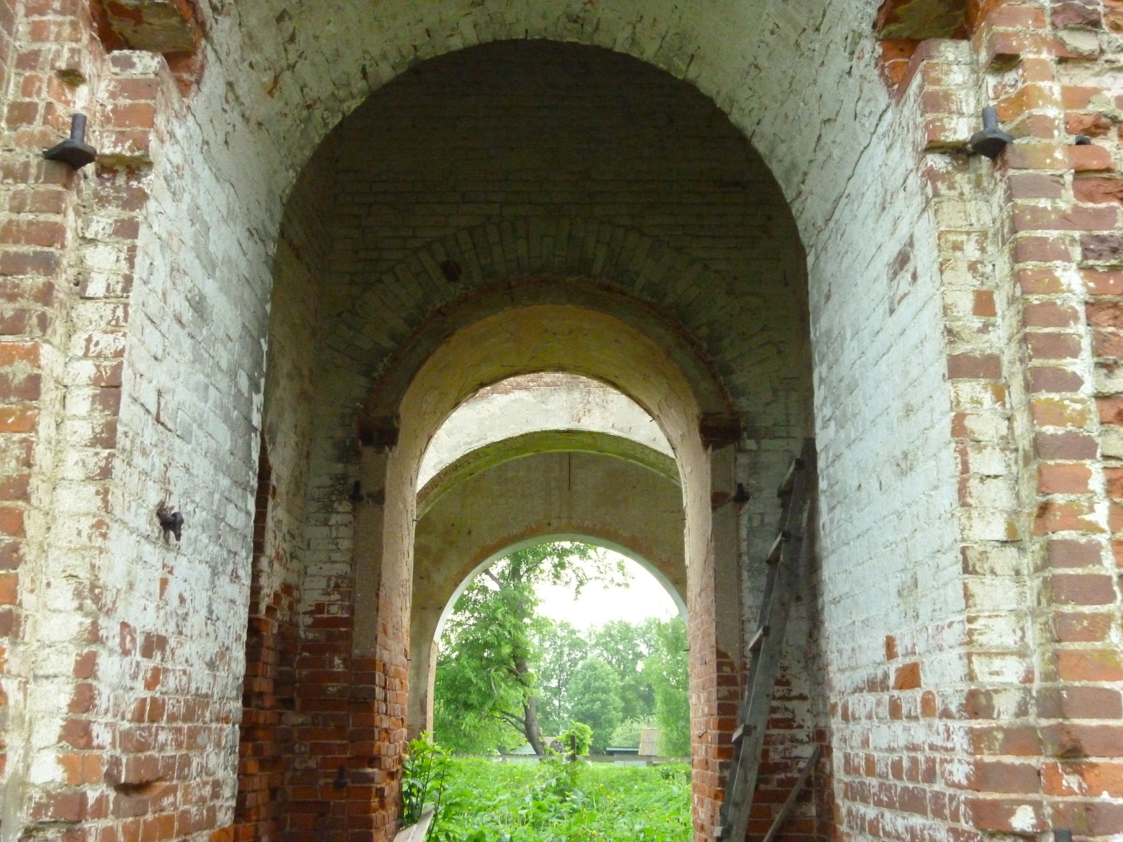 Remains of the church - My, Longpost, , Ruins, Kaluga region, Church, Ruin