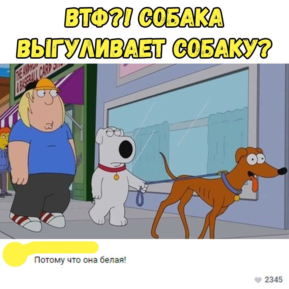 Tolerant - Family guy, Humor, Tolerance