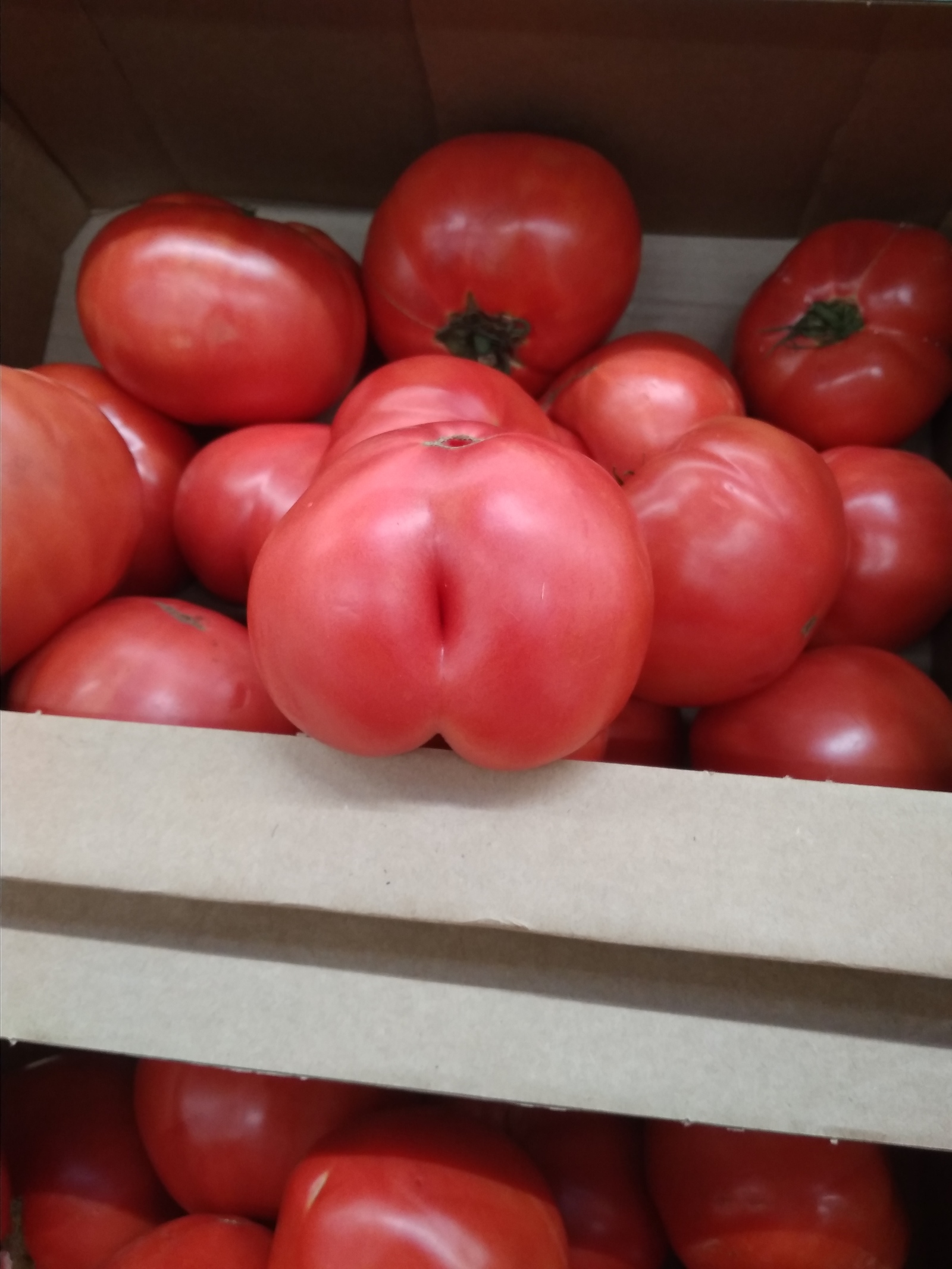 The harvest this year is so-so. - Vegetables, The photo, Tomatoes