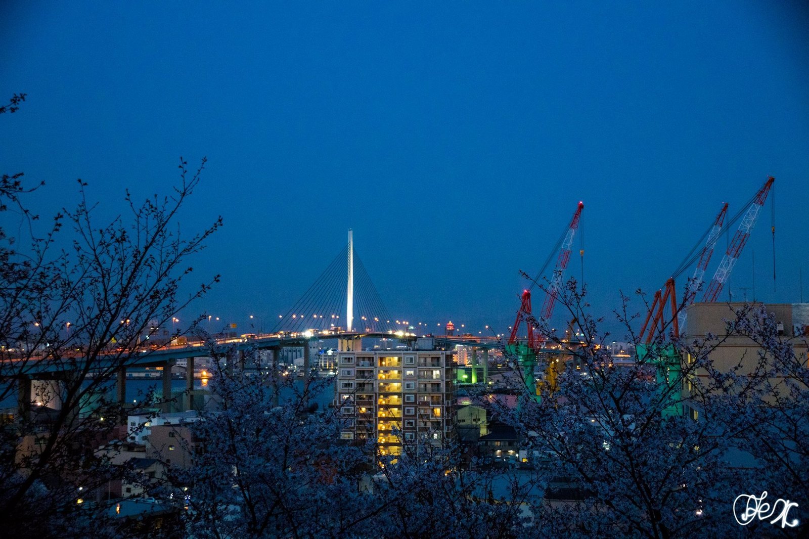 Где посмотреть сакуру в Фукуоке. Nishi Park - Моё, Япония, Фукуока, Сакура, Ханами, Путеводитель, Путешествия, Фотография, Длиннопост