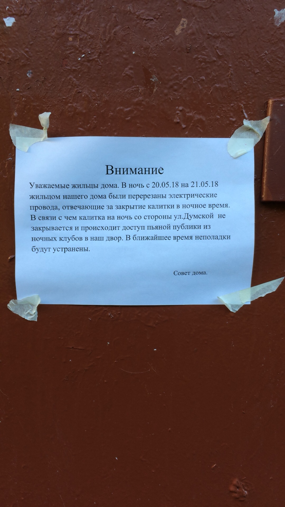 Соседство с улицей Думской, или защита от орд одичалых | Пикабу