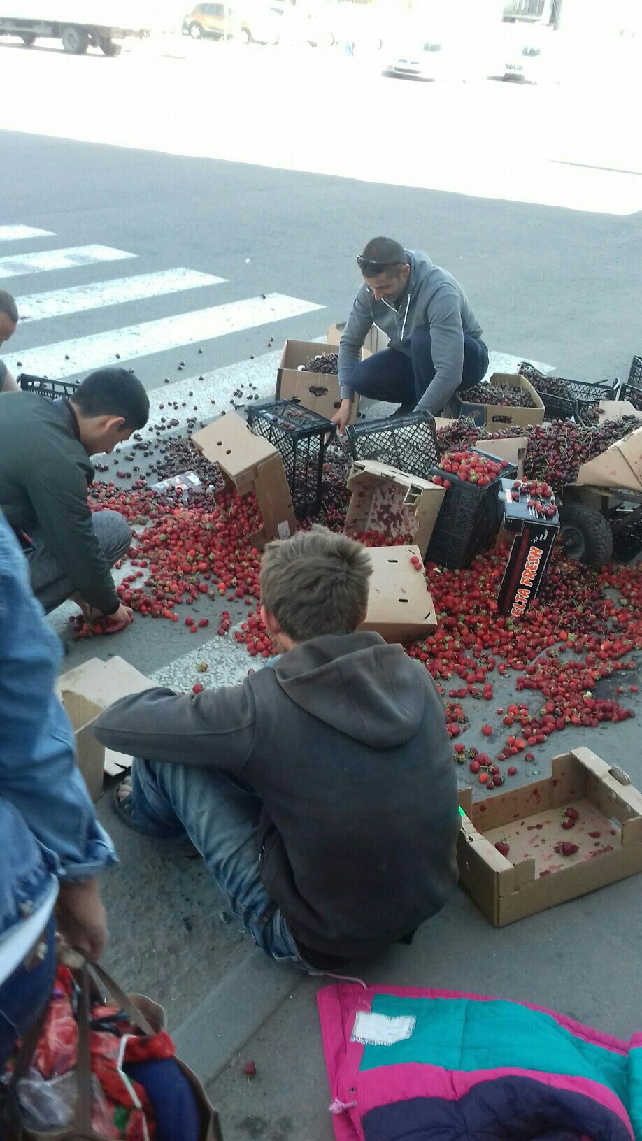 The most offensive seasonal photo - , Failure, Summer, Strawberry, Cherries, Sadness, Strawberry (plant)