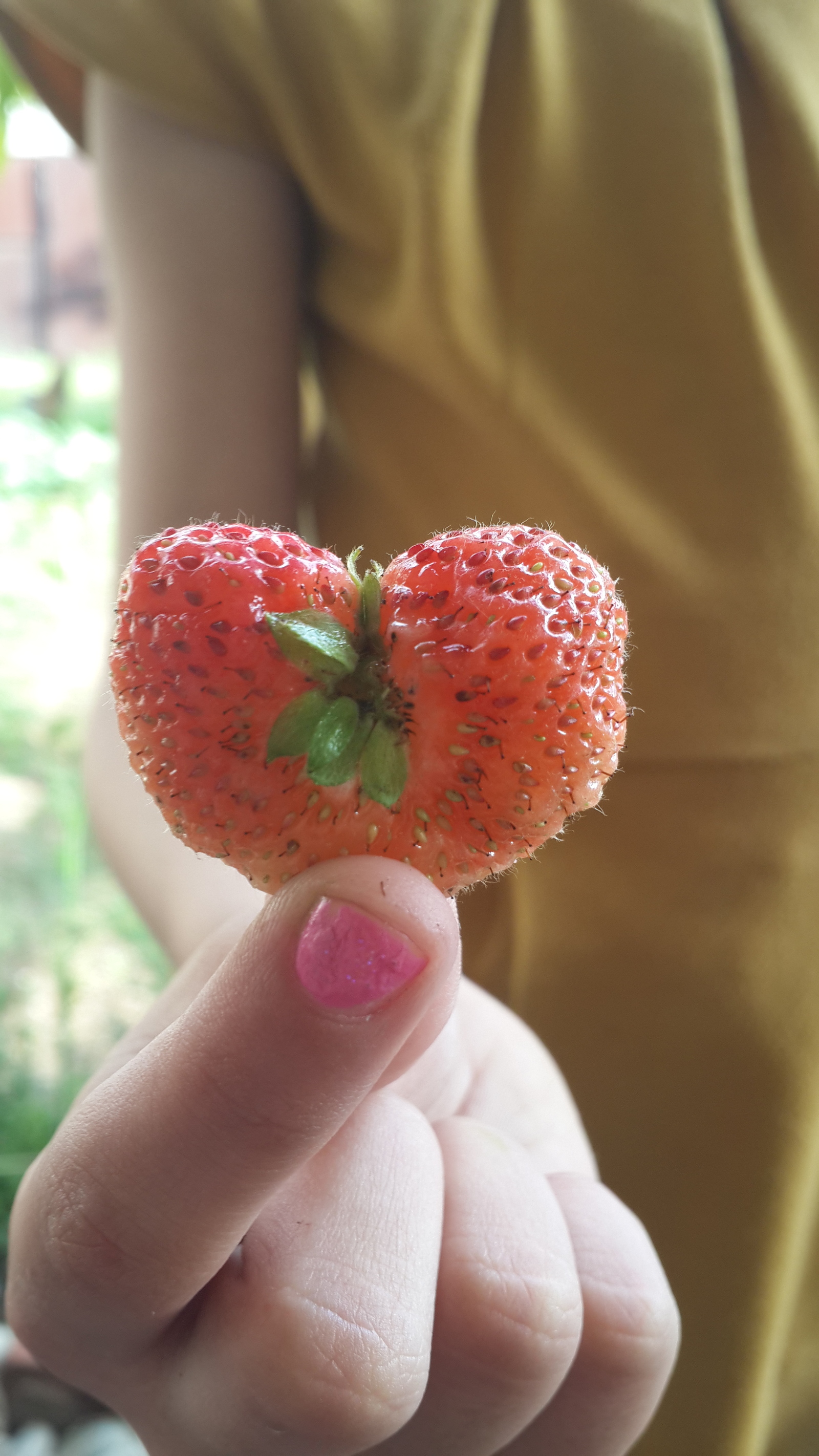 Strawberry Heart - My, Strawberry, Heart, The photo, Longpost, Heart