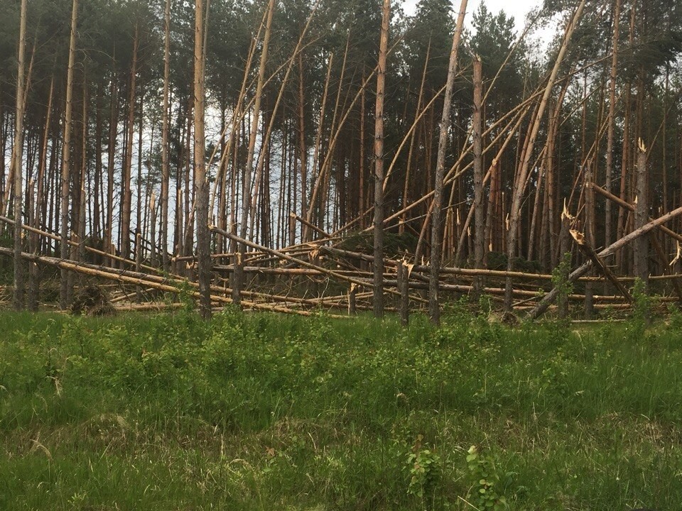 Ураган в Саранске - Ураган, Саранск, Плохая погода, Длиннопост