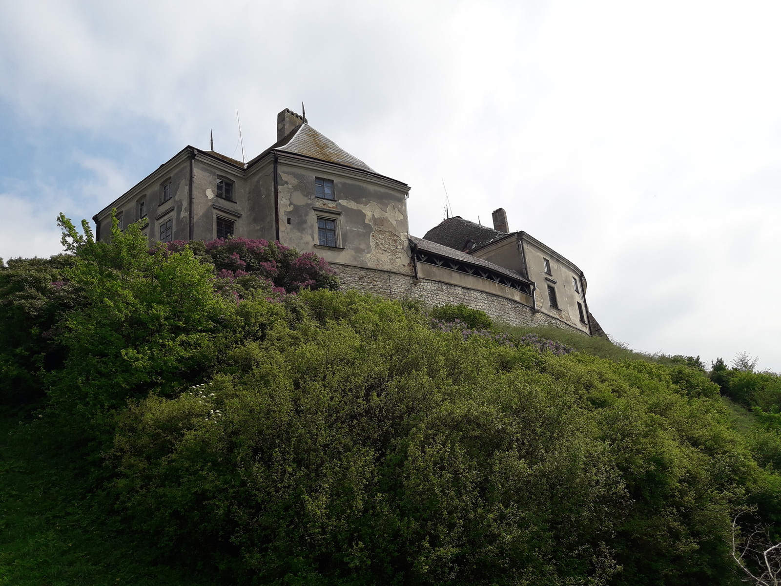 Olesko castle - My, , , Lviv, The photo, Longpost