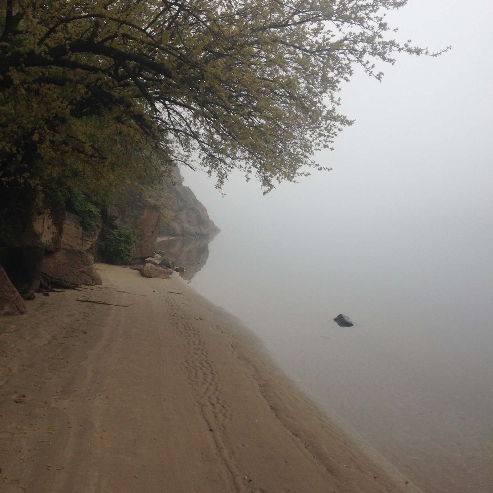 On the island Khortitsa at 6 am. Is it beautiful?) - My, Khortytsia, Island, Fog, Longpost