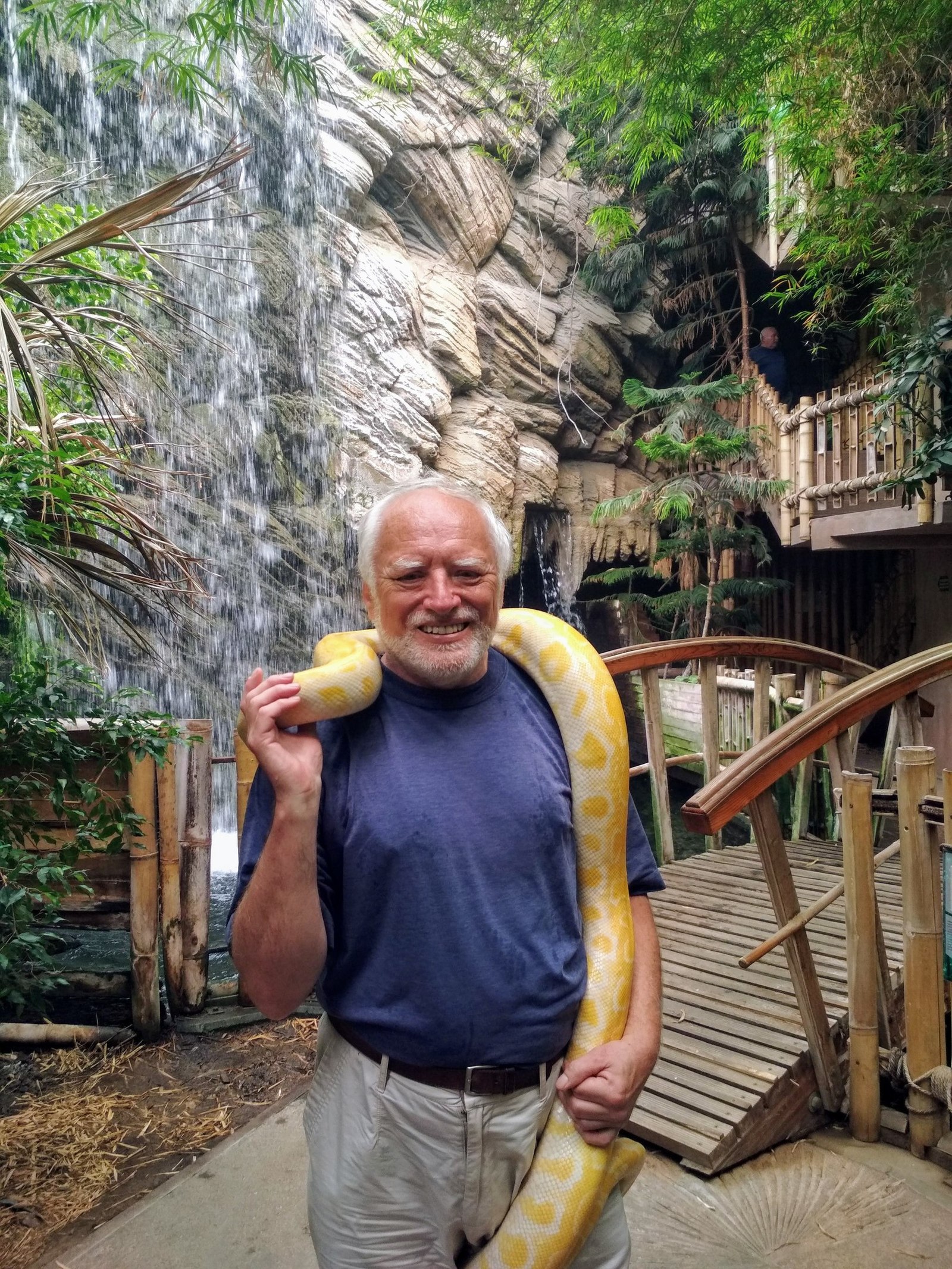 Harold is not afraid of snakes - Harold hiding pain, Harold, Snake, Smile