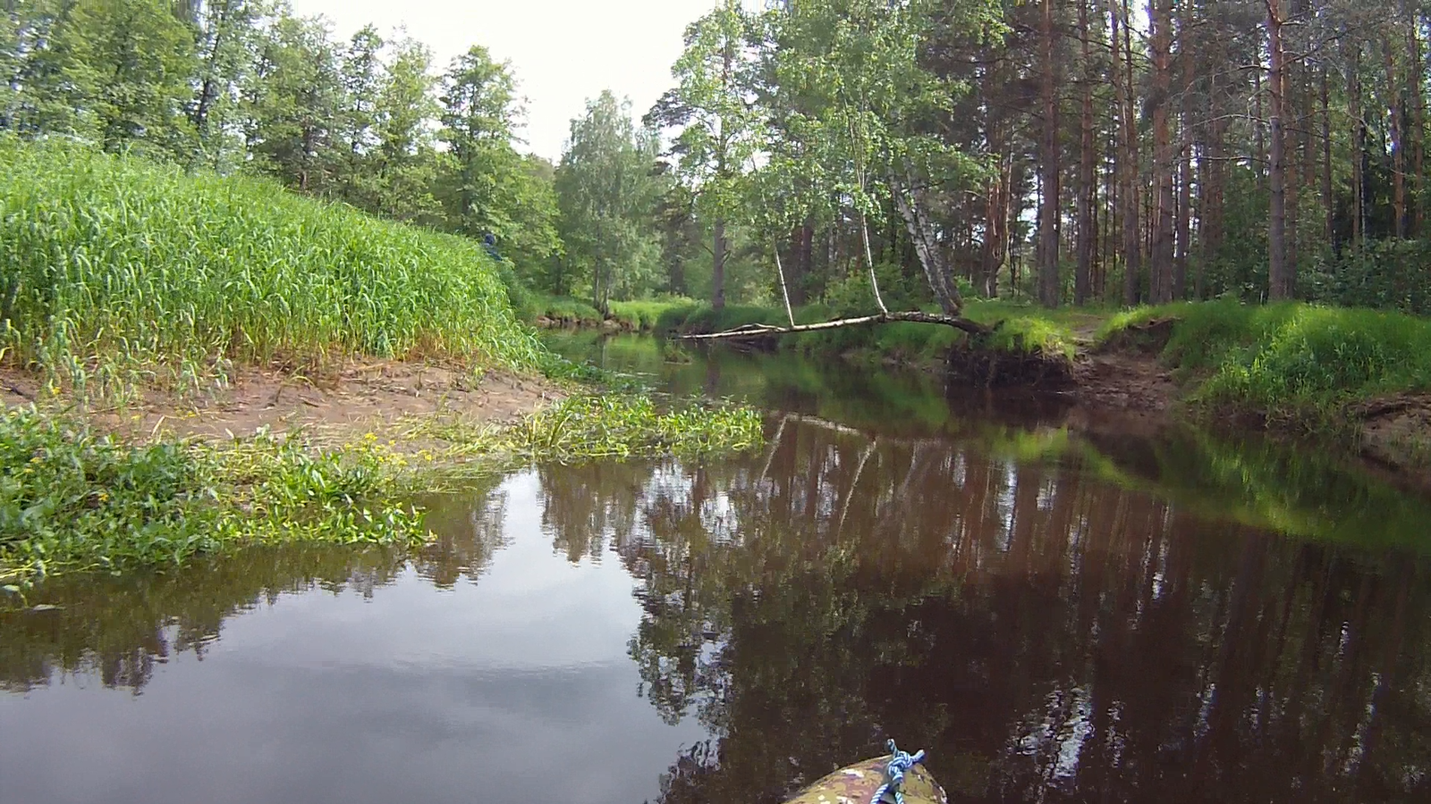 Rafting in the Moscow region Nerskaya river - My, Alloy, Hike, PVD, Relaxation, Longpost, GIF