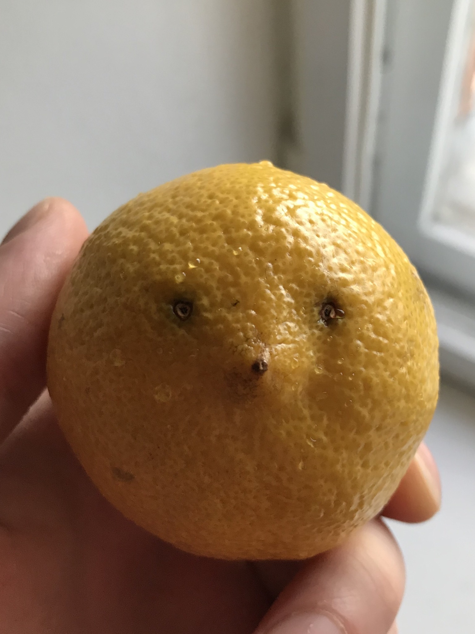 good day - My, Lemon, Eyes