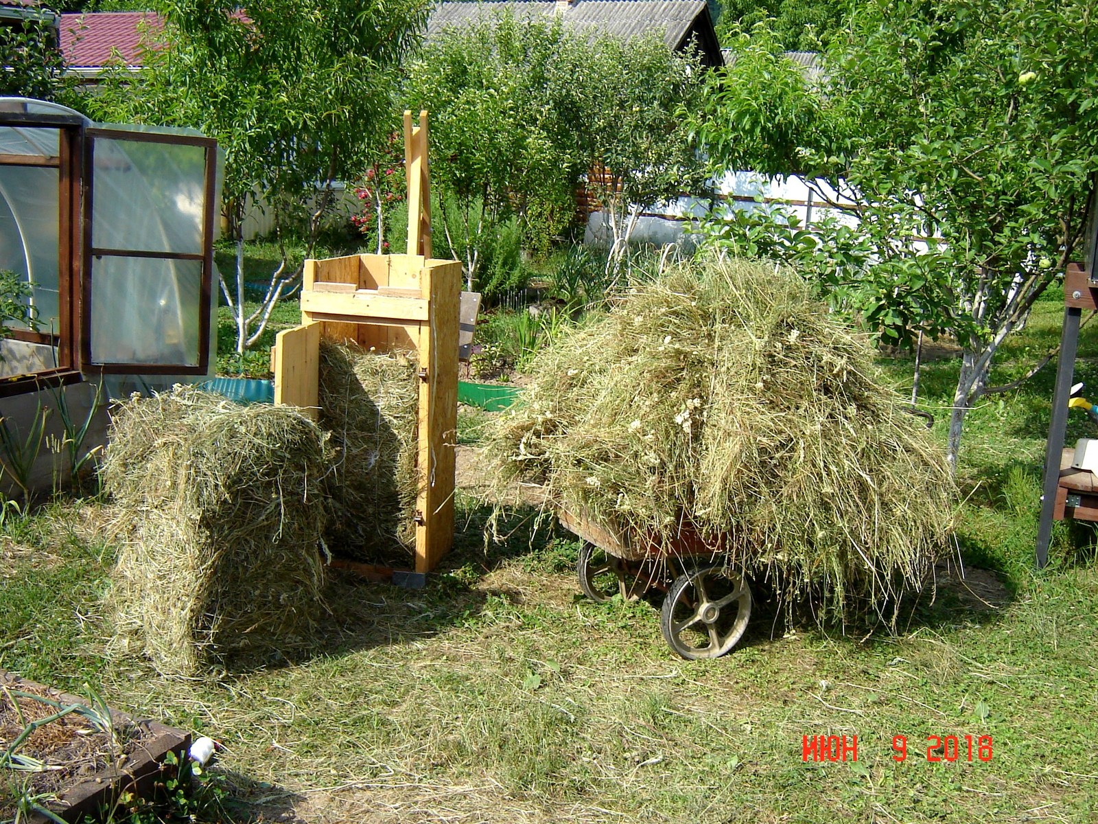 Haymaking, a sketch from village life - My, Haymaking, , Longpost