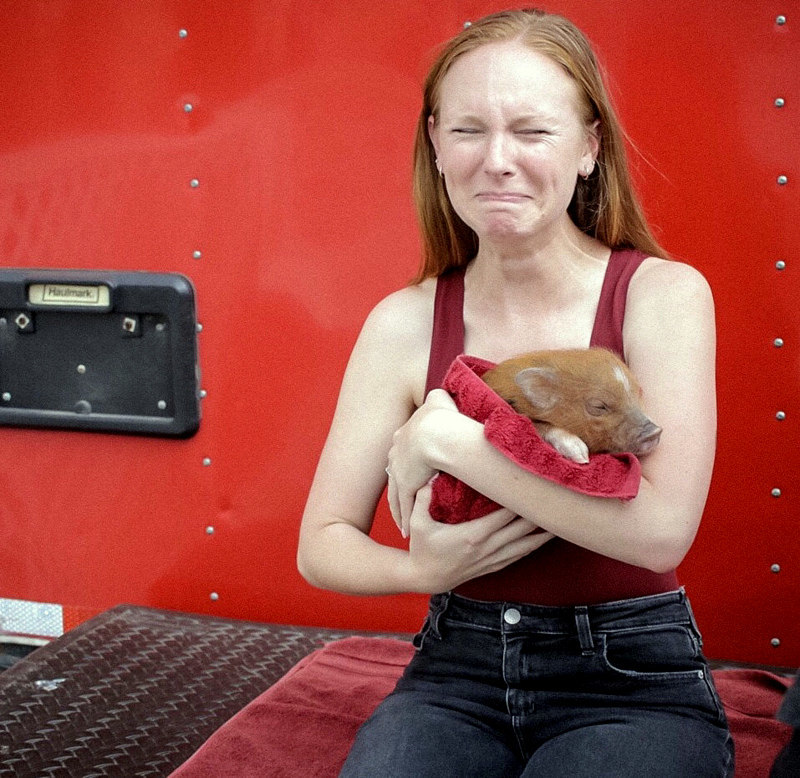 My girlfriend is obsessed with mini pigs but has never met one. This has changed today. - , Dreams Come True, The photo