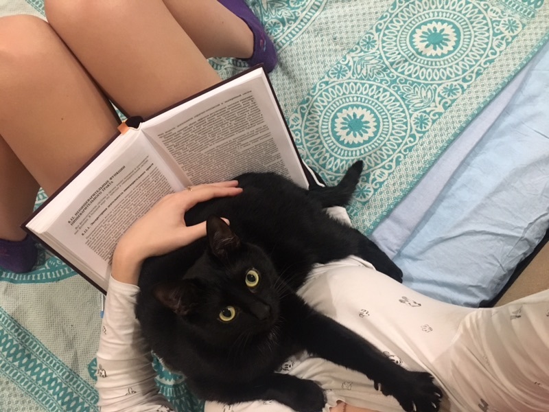 Furry Reader - My, cat, 