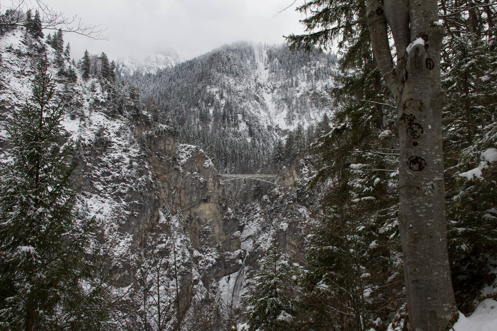 Winter Neuschwanstein - My, Fussen, Neuschwanstein, Germany, Winter, Lock, The photo, Longpost