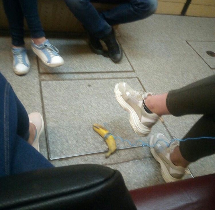 Ordinary Kharkov subway. - Metro, Kharkov, Banana, Humor, Walk, Pet, Pets