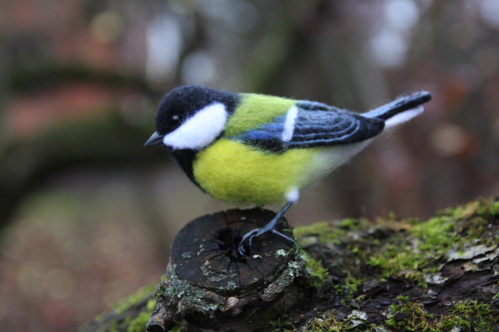 Tit. Dry felting. - My, Dry felting, Needlework without process, With your own hands, Creation, Birds, Tit, Handmade, Longpost