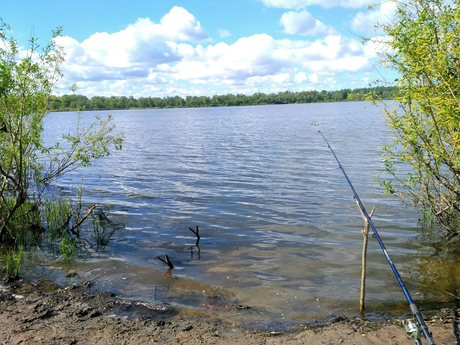 Samara. - My, Walk, Samara, Proran, Nature, Longpost