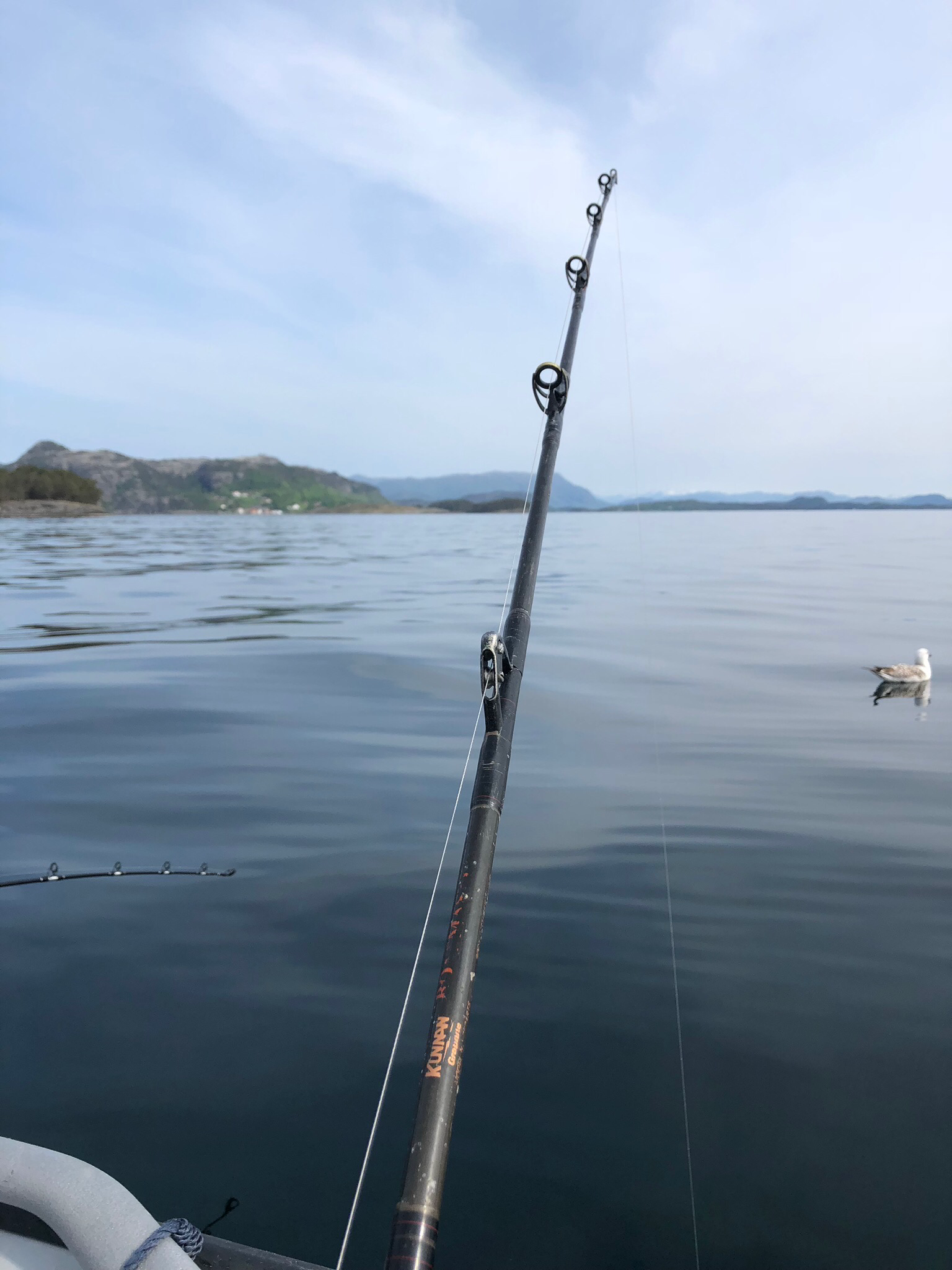 About fishing - My, Norway, Longpost, Fishing, Crab, Personal experience
