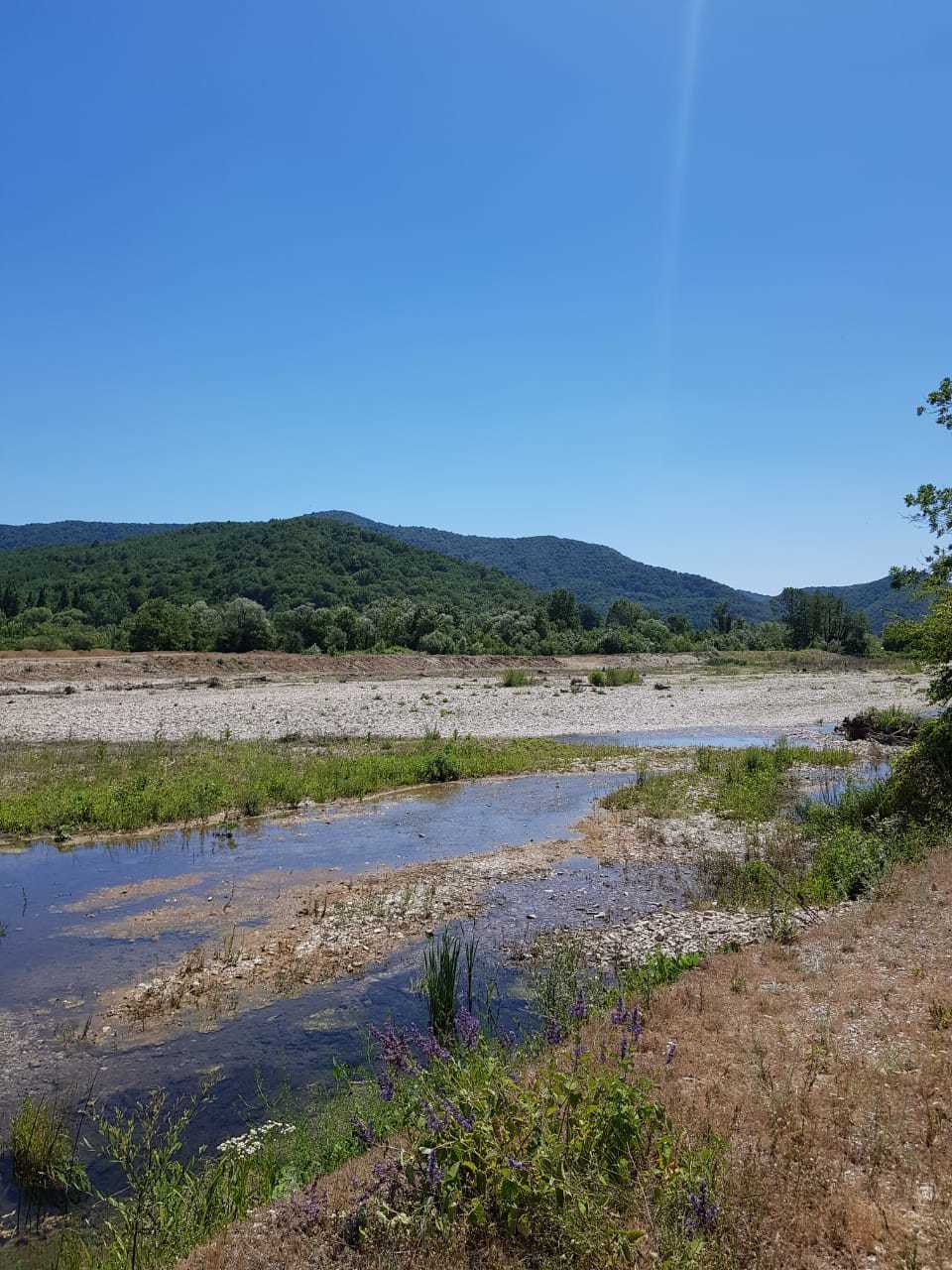 Река Пшада Криница