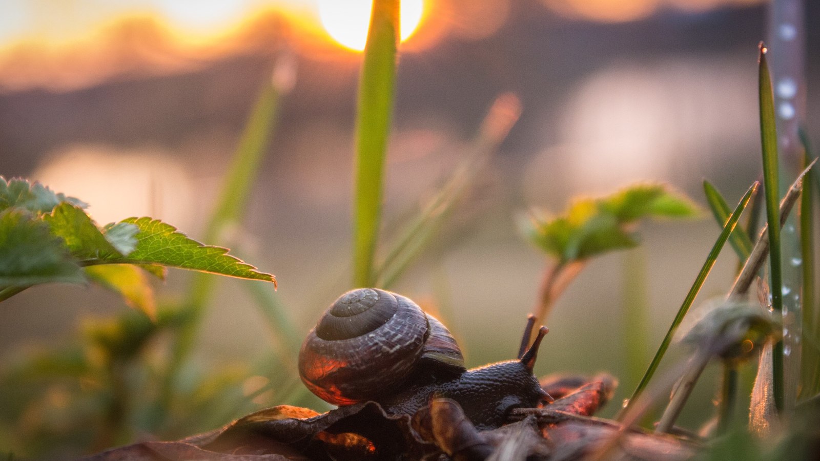 sunsets. - My, Sunset, Nature, Beginning photographer, Canon, Longpost, The photo