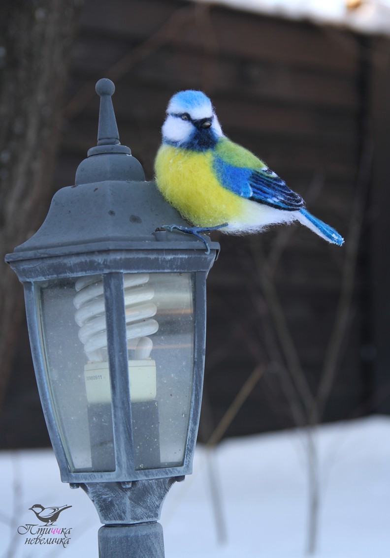 Blue Tit. Dry felting. - My, Dry felting, Needlework without process, Tit, Birds, With your own hands, Handmade, Creation, Longpost