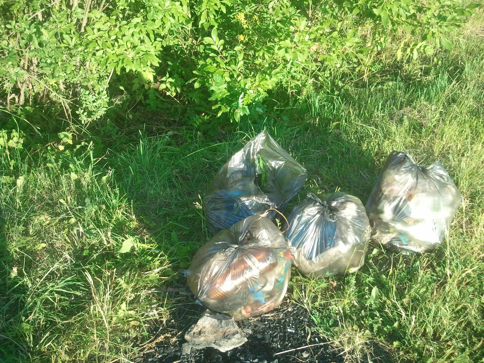 And 2 more hours of life)) - My, Garbage, Chistoman, Pskov, Longpost