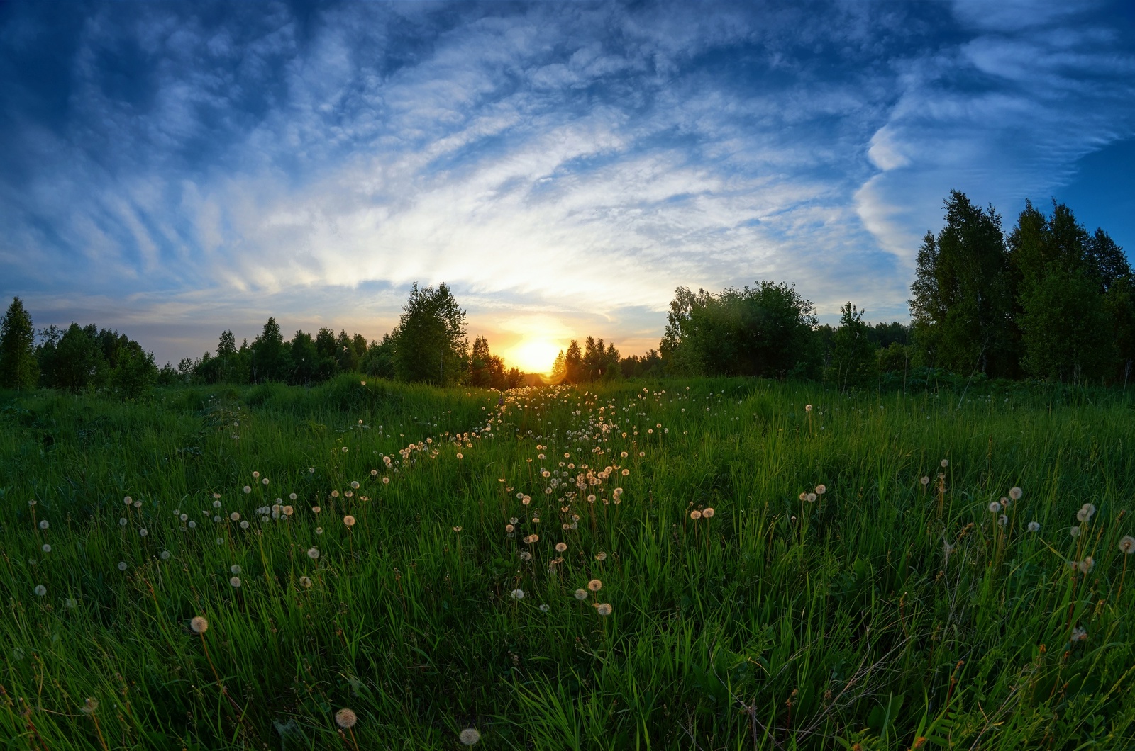 June evening in Siberia - My, Siberia, Nature, Sunset, HDR, Summer, Longpost, Prokopyevsk