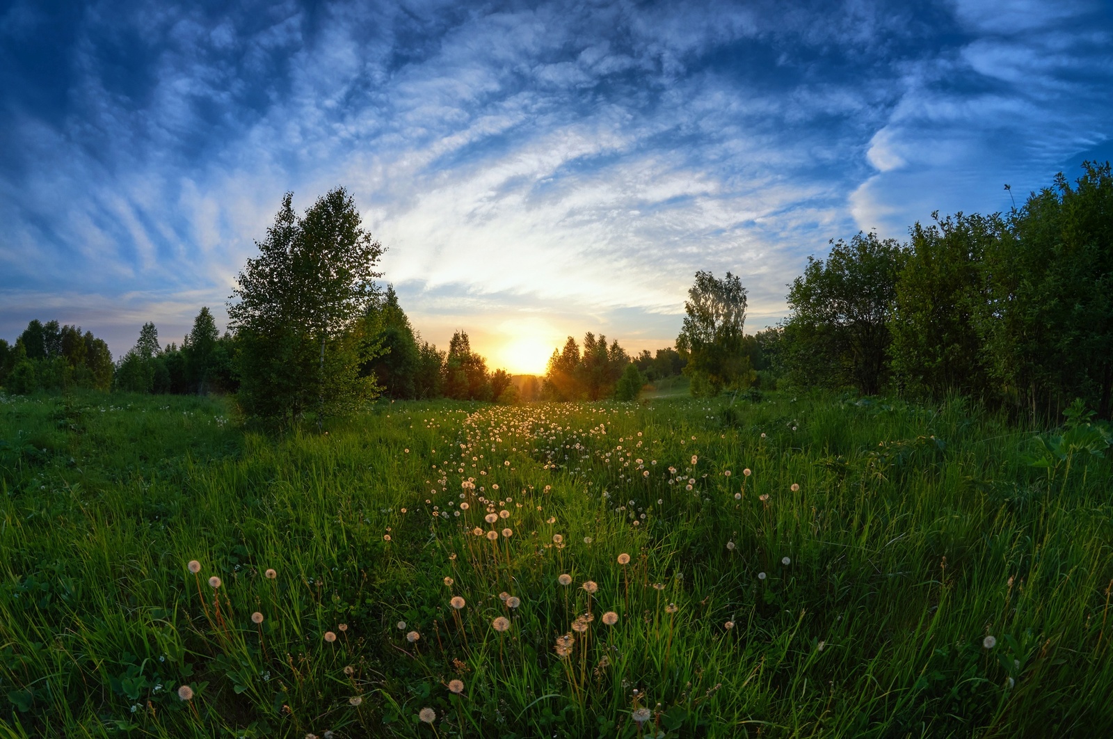 June evening in Siberia - My, Siberia, Nature, Sunset, HDR, Summer, Longpost, Prokopyevsk