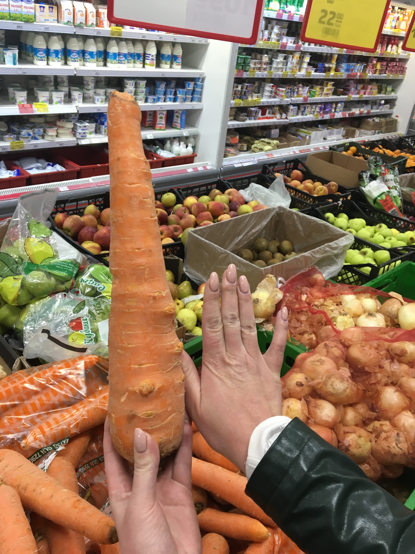 They told me to buy carrots for salad 0_o - My, Carrot, Score, Huge, Mutant, Israel, Longpost