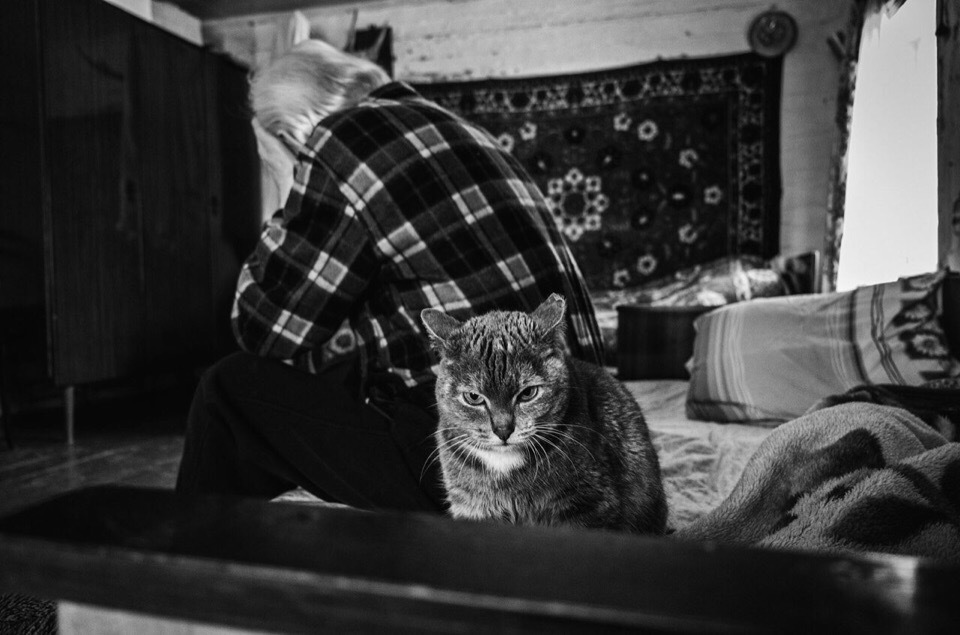 grandfather and cat - cat, Grandfather, Without words, Longpost