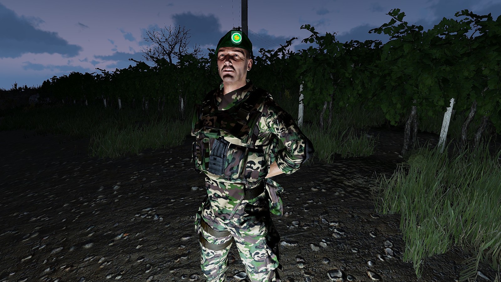 Lazy Camouflage - My, League of Leni, Sloth, Form, Arma 3, Longpost