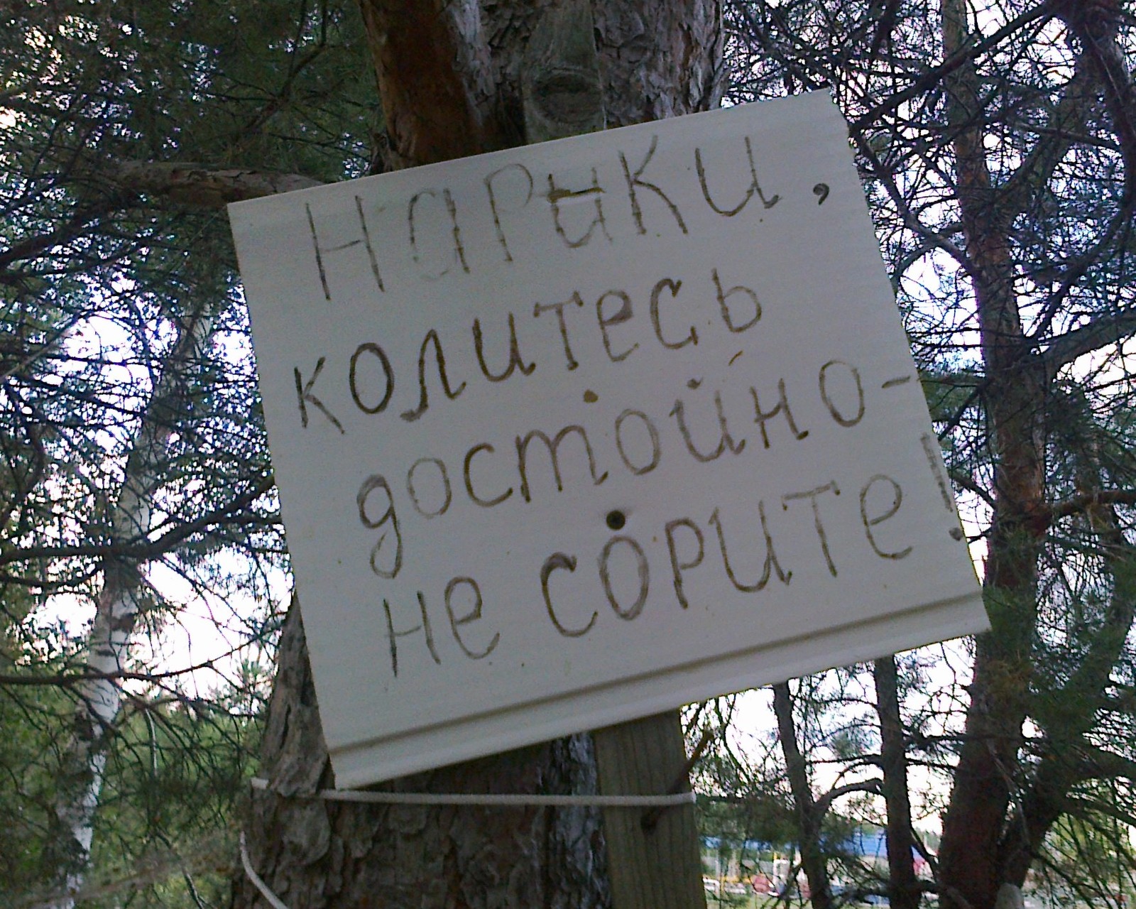 We were walking in the forest, and then ... - My, Forest, Inscription, Humor