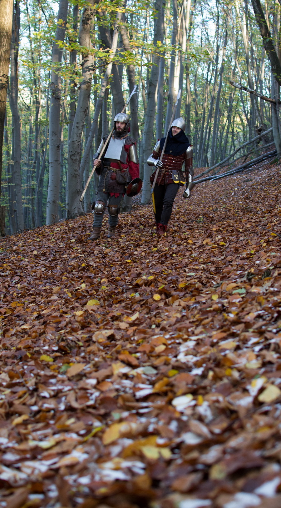 About the Witcher and cosplay. - My, Witcher, Cosplay, The photo, Forest, Longpost