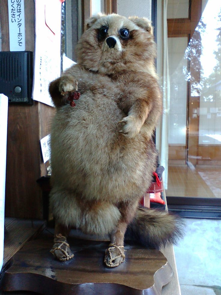 Crappy taxidermy #2 - , The horrors of taxidermy, Scarecrow, Taxidermy, Longpost