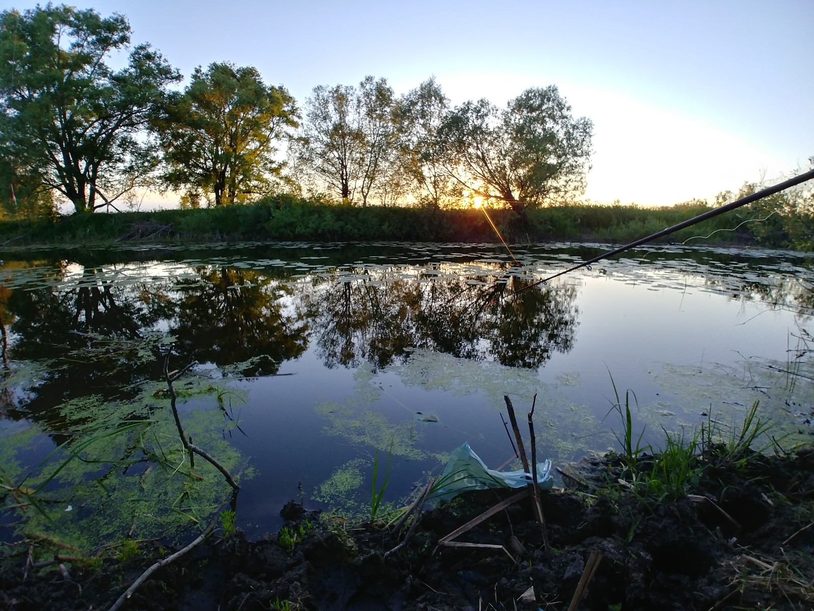 Nature of Voronezh - My, Pond, Nature, Longpost