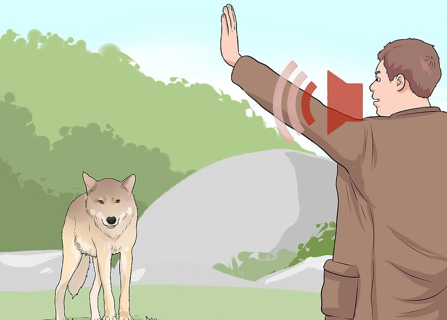 How to salute a Nazi wolf - Wolf, Nazis, Greetings, Ziga, Hand, Animals, Wikihow