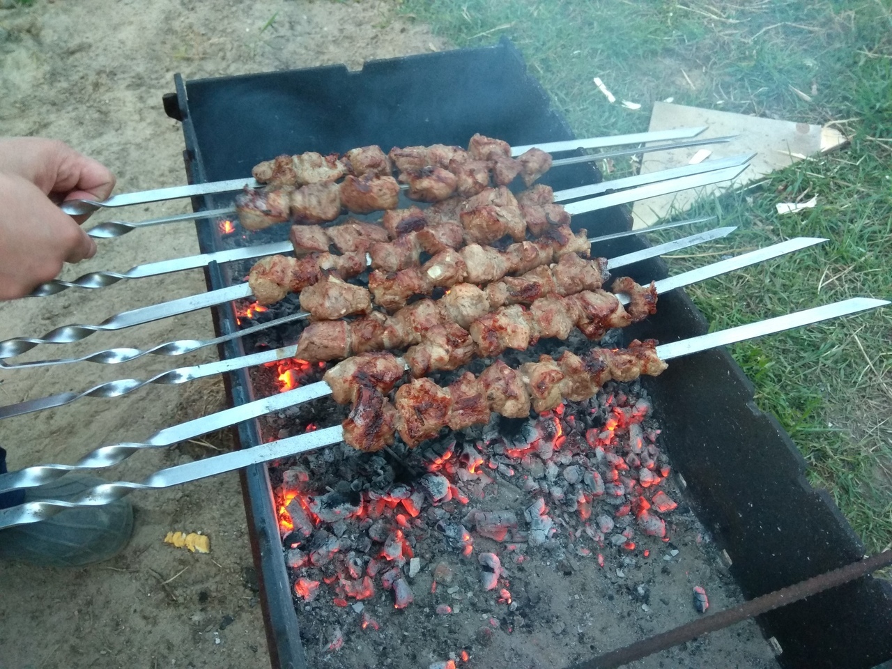 So what's Wednesday - My, Shashlik, Wednesday, Midweek, Relaxation, Dog, Longpost