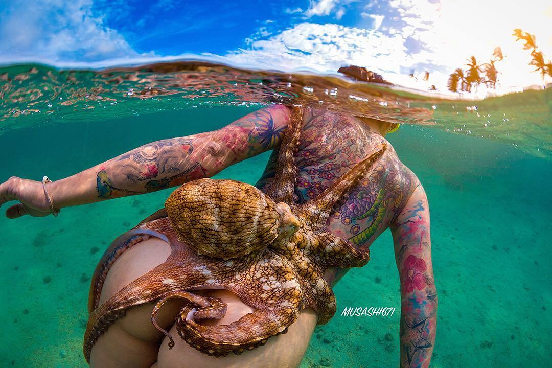 Incredible adventures of the octopus - NSFW, Girls, Sea, Ocean, Octopus, Erotic, Beautiful girl, Nature, Longpost