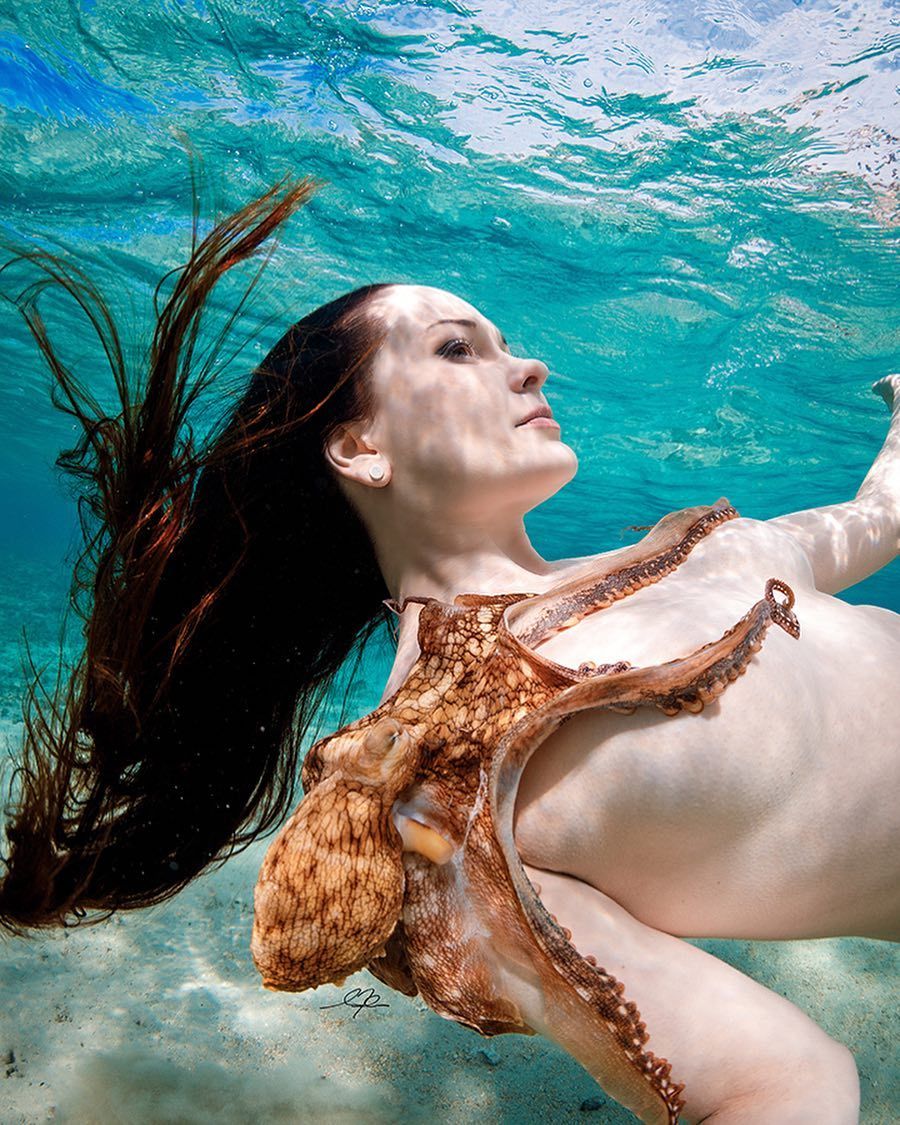 Incredible adventures of the octopus - NSFW, Girls, Sea, Ocean, Octopus, Erotic, Beautiful girl, Nature, Longpost