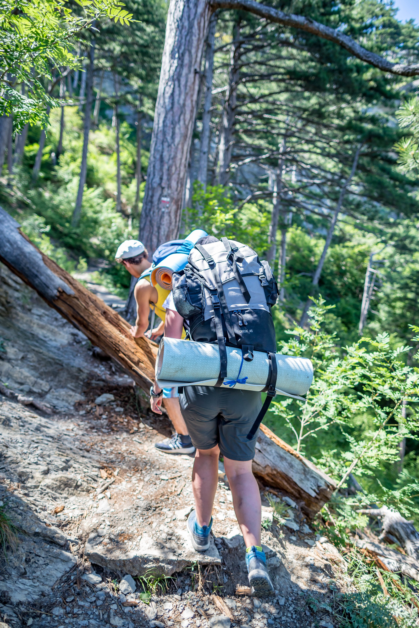 Trekking to Ai-Petri with overnight stay. Crimea. - My, Crimea, Travels, Tourism, The mountains, The photo, Animals, People, Nature, Longpost