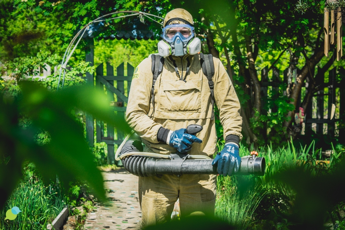 One day “on the feet” with a brigade of exterminators of insects and rodents. - Disinfection, Chelyabinsk, Parasites, Mite, Mosquitoes, Insects, Longpost