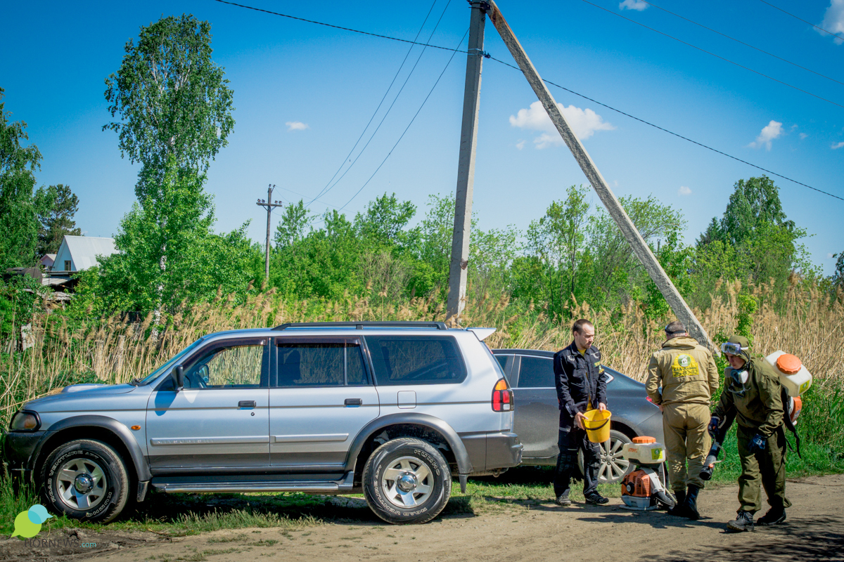 One day “on the feet” with a brigade of exterminators of insects and rodents. - Disinfection, Chelyabinsk, Parasites, Mite, Mosquitoes, Insects, Longpost