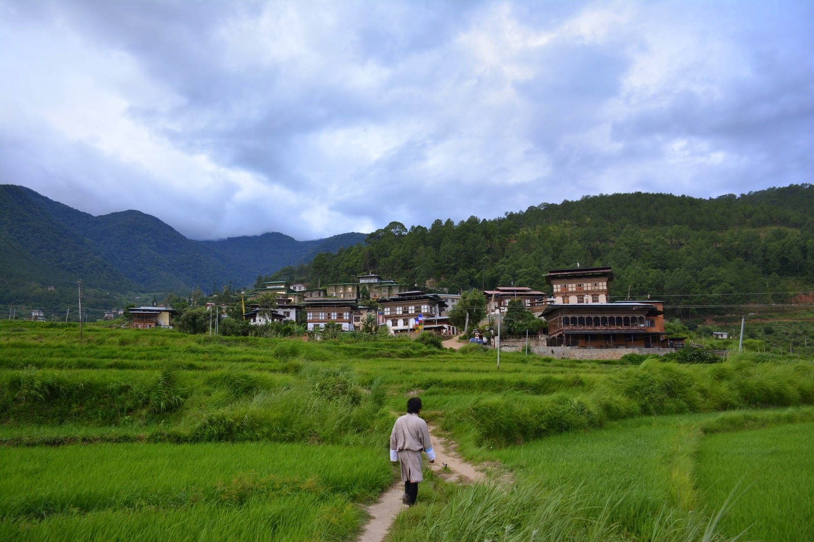 Mysterious Kingdom of Bhutan. Punakha - NSFW, My, Travels, Tourism, The photo, Bhutan, Bhutan, Longpost